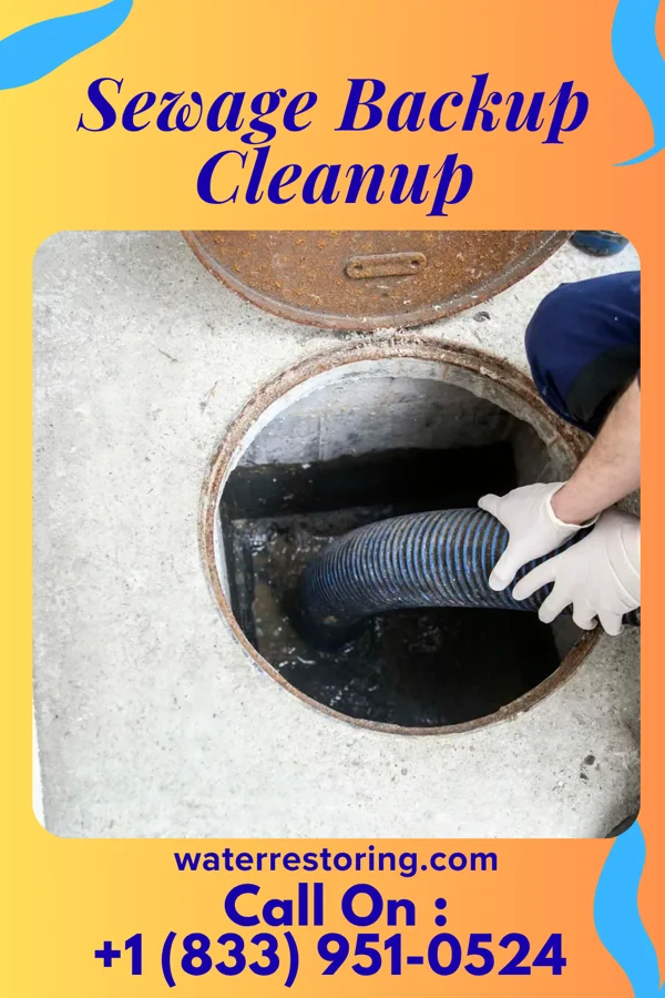 Sewage Backup Cleanup in Wisconsin Dells, WI