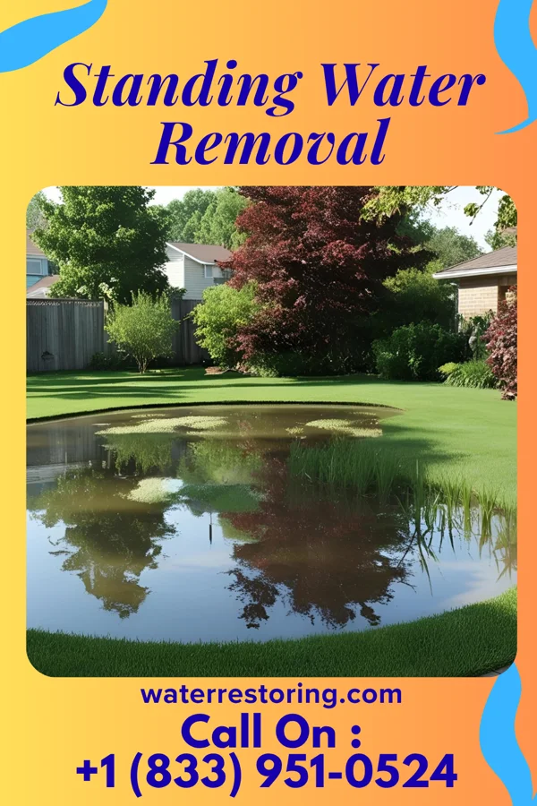 Standing Water Removal in Wisconsin Dells, WI